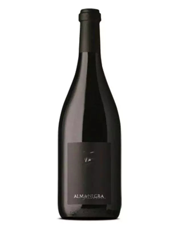 Alma Negra Pinot Noir 2023 (Tikal)