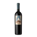 Tikal Amorío Malbec 2022 | 95 DES