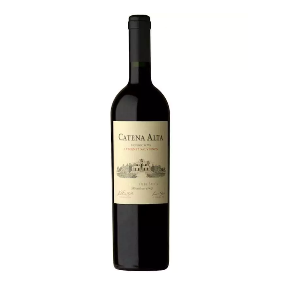 Catena Alta Cabernet Sauvignon 2022 | 96AG 94DES