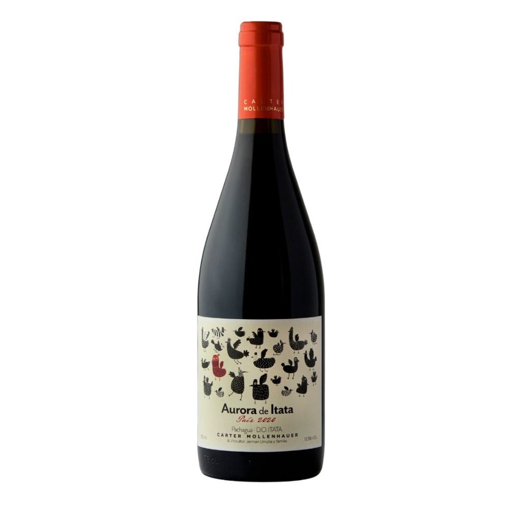 Aurora de Itata País 2023