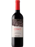 Emiliana Coyam Orgânico 2020 | 96 TA