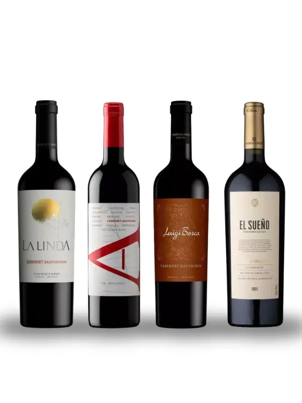 Kit Cabernet Sauvignon – 4 garrafas
